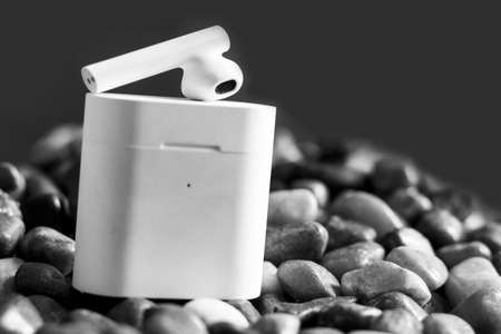 WIRELESS EARPHONES BLACK AND WHITEの写真素材