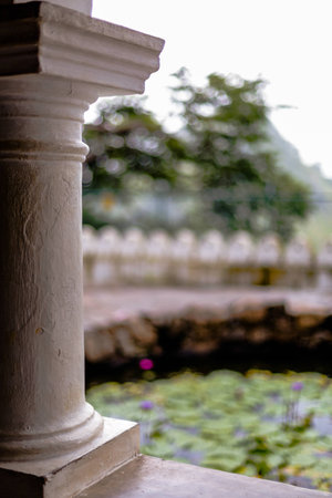 white column in the background of the Lily pondの写真素材