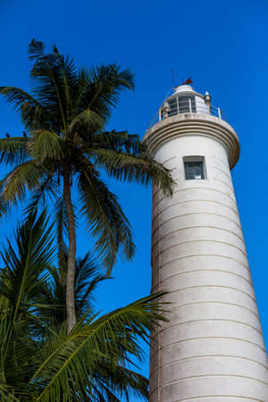 the lighthouse on the background of blue sky with palm tree view from the bottom upの写真素材