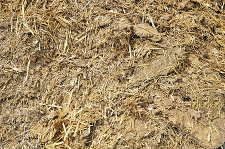 manure, fertilizer for plants の写真素材
