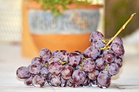 bunch of grapesの写真素材