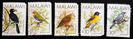 MALAWI - CIRCA 1987: A stamps printed in Malawi showing different birds, series, circa 1987 の写真素材