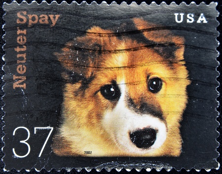 UNITED STATES OF AMERICA - CIRCA 2002: A stamp printed in the United States of America shows image...