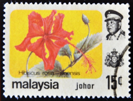 MALAYSIA-CIRCA 1985:A stamp printed in Malaysia shows Hibiscus rosa - sinensis, circa 1985. の写真素材