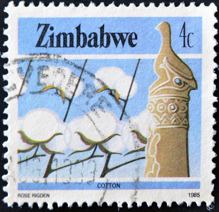 ZIMBABWE - CIRCA 1985: A stamp printed in Zimbabwe shows cotton, series, circa 1985の写真素材