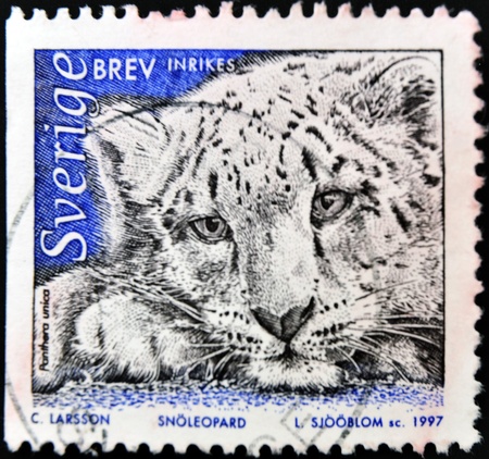SWEDEN - CIRCA 1997: A stamp printed in Sweden shows a snow leopard, circa 1997