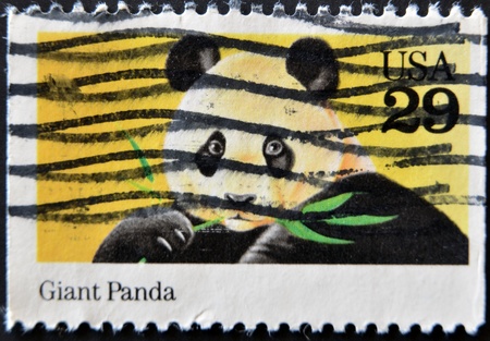 UNITED STATES OF AMERICA -CIRCA 1980: A stamp printed in USA shows image of The giant panda, circa...