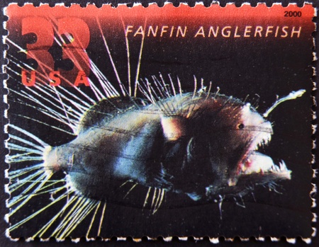 UNITED STATES OF AMERICA - CIRCA 2000: A stamp printed in USA shows a fanfin anglerfish, circa 2000