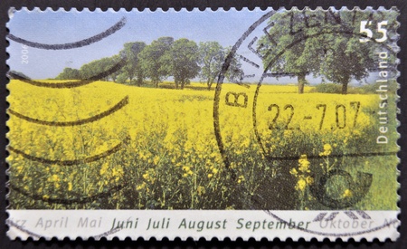 GERMANY - CIRCA 2006: A stamp printed in Germany dedicated to summer, circa 2006の写真素材