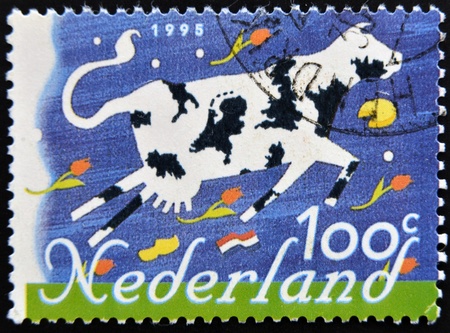 HOLLAND - CIRCA 1995: A stamp printed in the Netherlands, shows a Cow, circa 1995 の写真素材