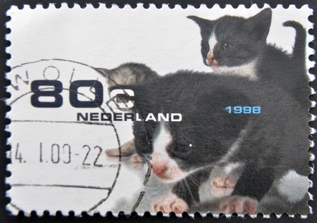 HOLLAND - CIRCA 1998: A stamp printed in Holland shows kittens, circa 1998のeditorial素材