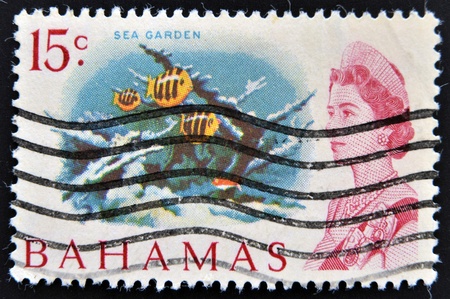 BAHAMAS - CIRCA 1965: A stamp printed in Bahamas shows sea garden, circa 1965のeditorial素材