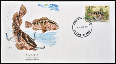 SAINT KITTS AND NEVIS - CIRCA 1991: A postcard printed in St Kitts shows a nassau grouper, circa 1991 のeditorial素材