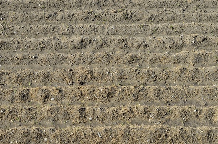 Plowed soil の写真素材