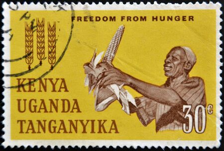 KENYA UGANDA TANGANYIKA - CIRCA 1963: A British stamp printed in Kenya, Uganda and Tanganyika (now Tanzania) dedicated to freedom from hunger, circa 1963 のeditorial素材