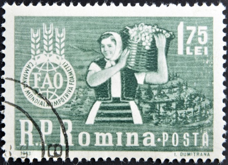 ROMANIA - CIRCA 1963: A stamp printed in Romania shows agricultural worker with the inscription "FAO - Global campaign against hunger", circa 1963 のeditorial素材