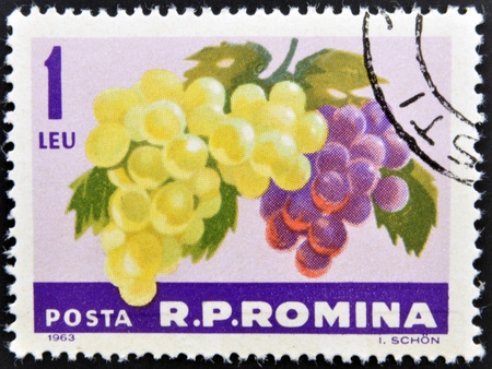 ROMANIA -CIRCA 1963: A stamp printed in Romania shows the grapes hangs on a branch, circa 1963. の写真素材