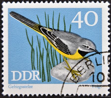 GERMANY - CIRCA 1973: A stamp printed in Germany dedicated to birds, shows grey wagtail (motacilla cinerea), circa 1973のeditorial素材