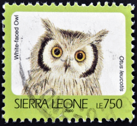 SIERRA LEONE - CIRCA 2000: A stamp printed in sierra Leone shows White-faced owl, otus leucotis, circa 2000のeditorial素材