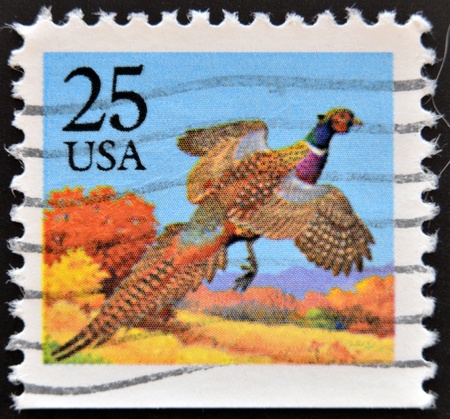 UNITED STATES OF AMERICA - CIRCA 1987: A stamp printed in USA shows Pheasant, Bird, circa 1987 