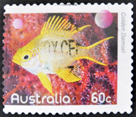 AUSTRALIA - CIRCA 2010: A stamp printed in Australia shows an image of regal Golden Damselfish...