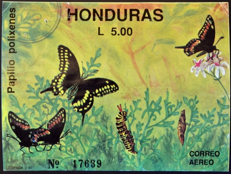 HONDURAS - CIRCA 1992: A stamp printed in Honduras shows butterfly, Papilio polixenes, circa 1992 のeditorial素材