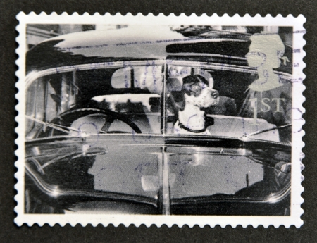 UNITED KINGDOM - CIRCA 2001  A stamp printed in Great Britain shows Dog in car, circa 2001の写真素材