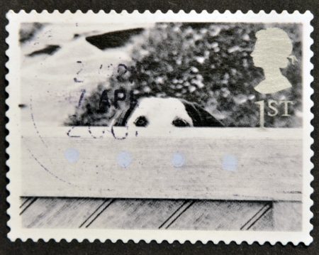 UNITED KINGDOM - CIRCA 2001  A stamp printed in Great Britain shows Dog Behind Fence, circa 2001の写真素材