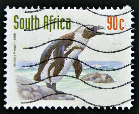 SOUTH AFRICA - CIRCA 1998: A stamp printed in RSA shows jackass penguin, circa 1998