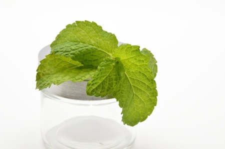 Bouquet of mint on glass container