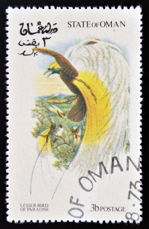 OMAN - CIRCA 1973: A stamp printed in Oman dedicated to exotic birds shows lesser bird of paradise, circa 1973 のeditorial素材