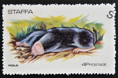 STAFFA - CIRCA 1973  stamp printed in Staffa shows mole, circa 1973 のeditorial素材