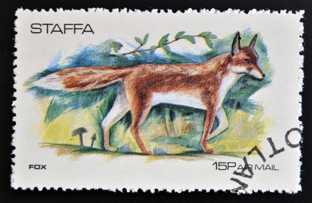 STAFFA - CIRCA 1973  stamp printed in Staffa shows fox, circa 1973 のeditorial素材