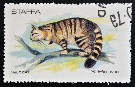 STAFFA - CIRCA 1973  stamp printed in Staffa shows wildcat, circa 1973 