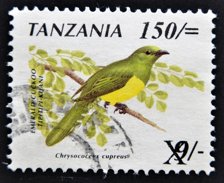 TANZANIA - CIRCA 1990  A stamp printed in Tanzania shows the emerald cuckoo bird  Chrysococcyx cupreus , circa 1990 のeditorial素材