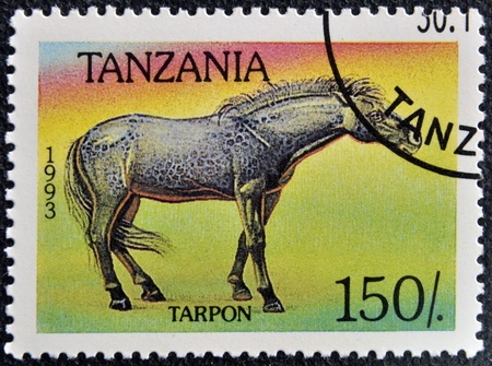 TANZANIA - CIRCA 1993  A stamp printed in Tanzania shows Tarpan horse, circa 1993 の写真素材