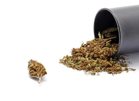 nabis spilling out of a bottle の写真素材