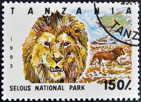 TANZANIA - CIRCA 1993: Stamp printed in Tanzania dedicated to selous national park, shows lion, circa 1993の写真素材
