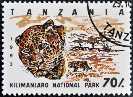 TANZANIA - CIRCA 1993: Stamp printed in Tanzania dedicated to Kilimanjaro national park, shows leopard, circa 1993の写真素材