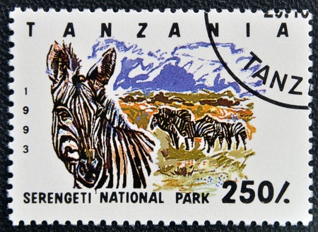 TANZANIA - CIRCA 1993: Stamp printed in Tanzania dedicated to Serengeti national park, shows zebra, circa 1993の写真素材