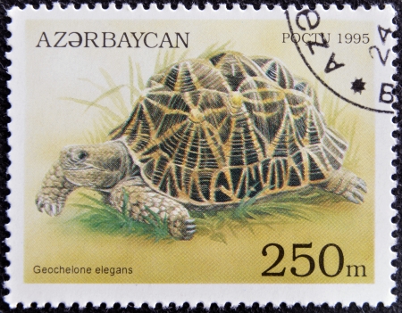 AZERBAIJAN - CIRCA 1995: A stamp printed in Azerbaijan shows a Turtle, Geochelone elegans, circa 1995. のeditorial素材