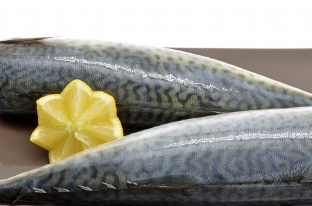 Two mackerel fish fillets の写真素材