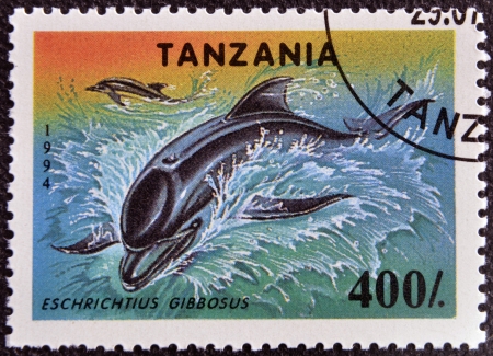 TANZANIA - CIRCA 1994: A stamp printed in Tanzania showing California Gray Whale, eschrichtius gibbosus, circa 1994 のeditorial素材