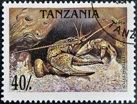 TANZANIA - CIRCA 1994: A stamp printed in Tanzania shows a prawn, circa 1994 のeditorial素材