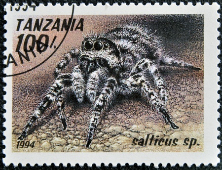 TANZANIA - CIRCA 1994: A stamp printed in Tanzania shows image of a salticus sp., circa 1994 のeditorial素材