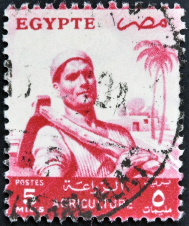 EGYPT - CIRCA 1958: A stamp printed in Egypt shows image of an agricultural worker, circa 1958 の写真素材