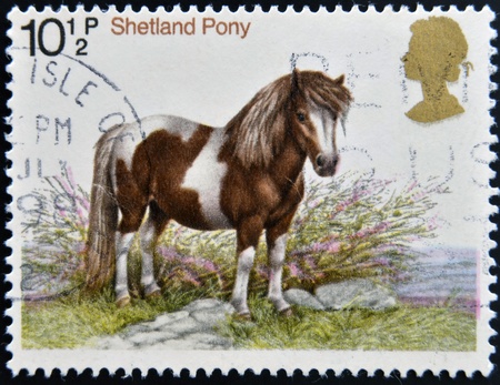 UNITED KINGDOM - CIRCA 1978: stamp printed in Great Britain shows a Sheltand pony, circa 1978 の写真素材