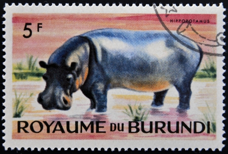 BURUNDI - CIRCA 1964: stamp printed in Kingdom of Burundi shows an African animal - Hippopotamus, circa 1964の写真素材