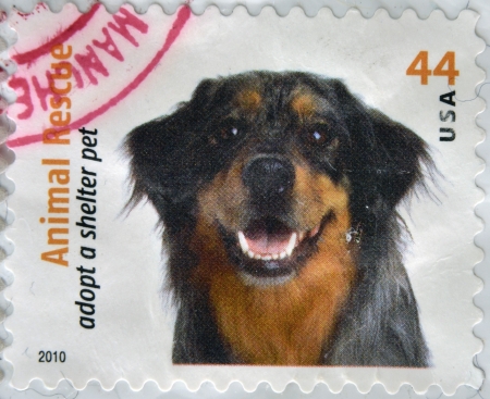 UNITED STATES OF AMERICA - CIRCA 2002: A stamp printed in USA shows image dog, series, circa 2002 のeditorial素材