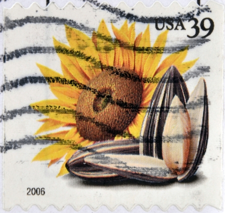 UNITED STATES OF AMERICA - CIRCA 2006: A stamp printed in USA shows sunflower and seeds, circa 2006 の写真素材